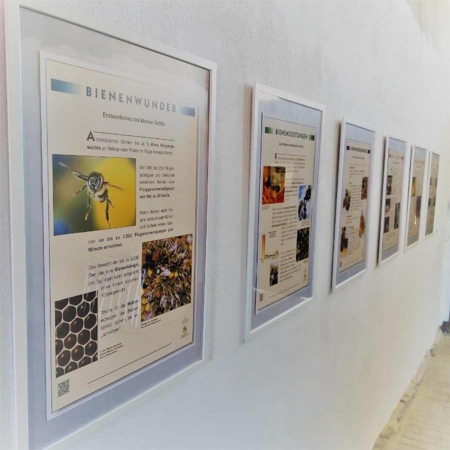 Gaestequartier Mittendrin In Coswig  Luaran gambar